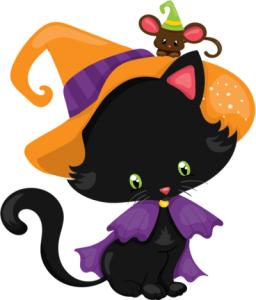 a halloween witch kitty